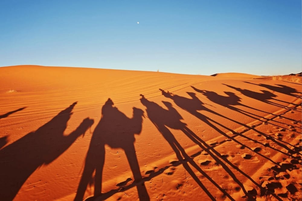 United Arab Emirates - Dubai eSIM